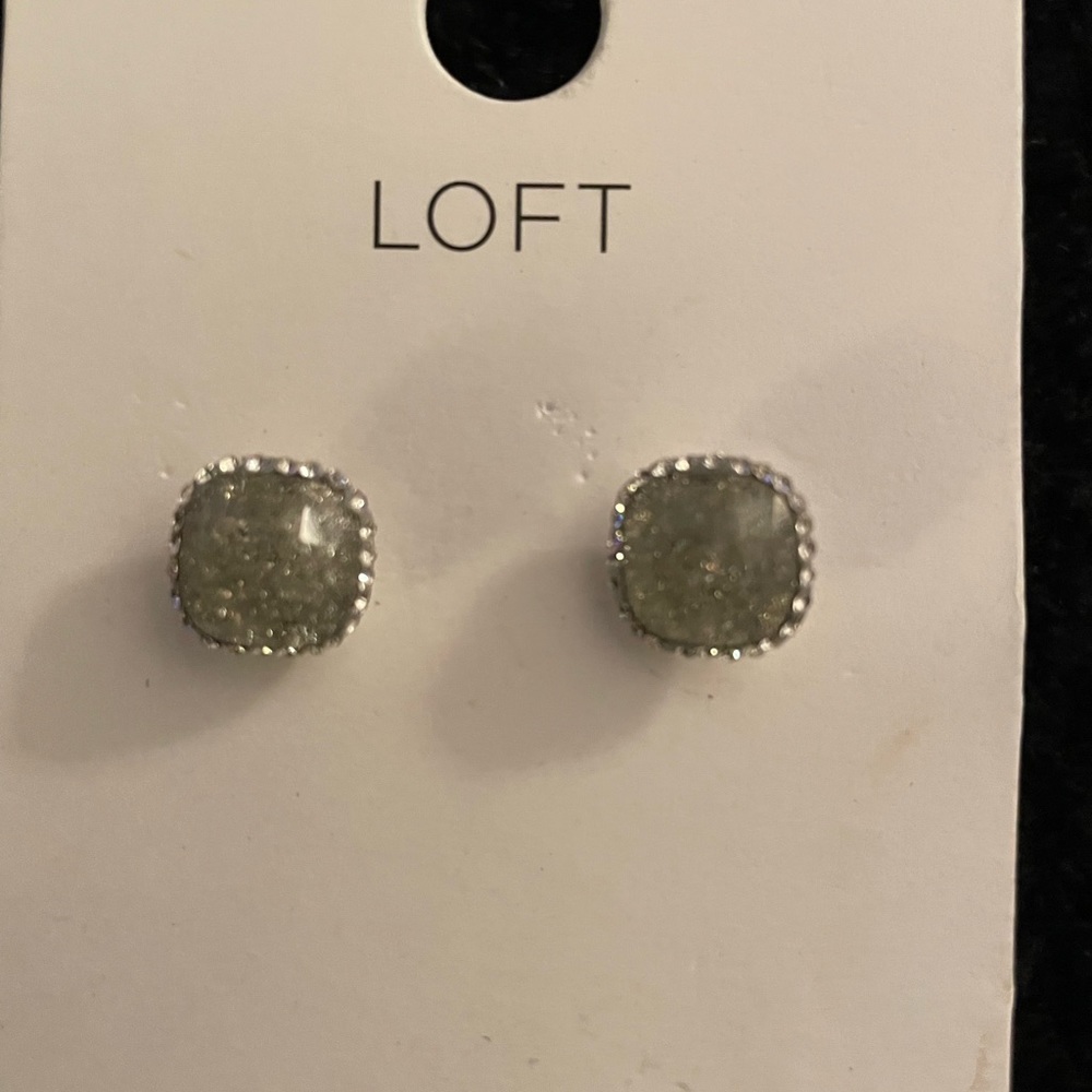 NWT Loft sparkly earrings